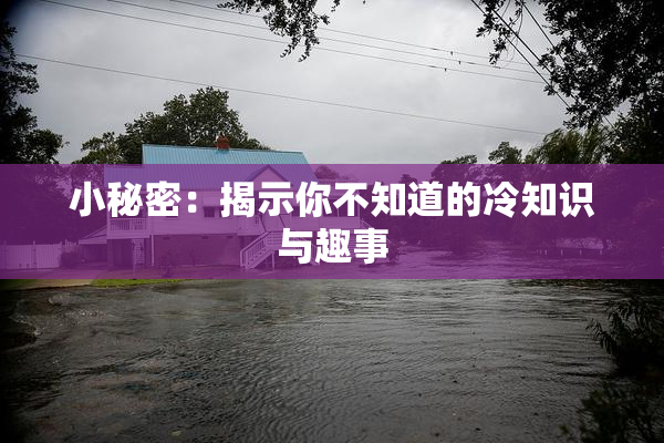 小秘密：揭示你不知道的冷知识与趣事