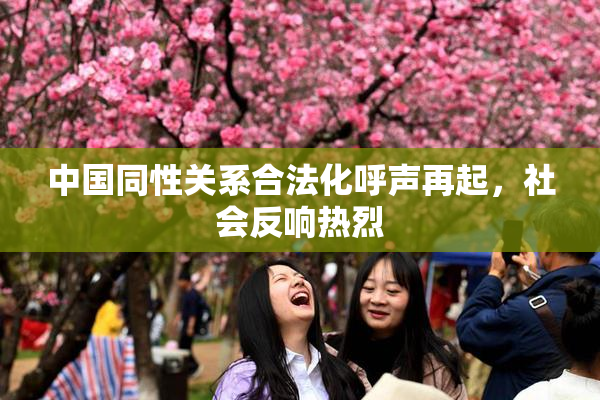 中国同性关系合法化呼声再起，社会反响热烈