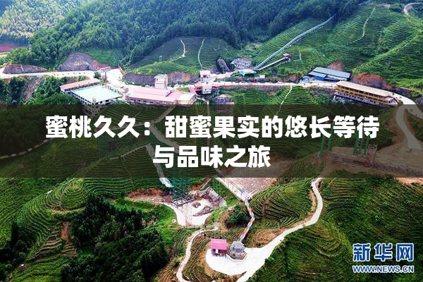 蜜桃久久：甜蜜果实的悠长等待与品味之旅