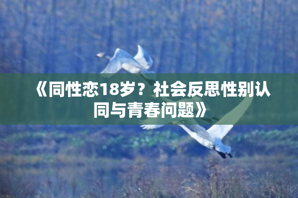 《同性恋18岁？社会反思性别认同与青春问题》