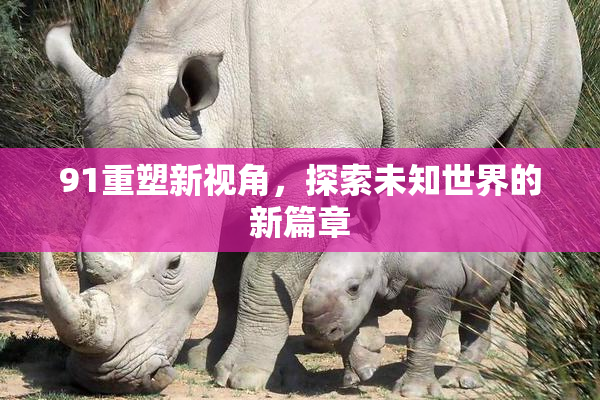 91重塑新视角，探索未知世界的新篇章
