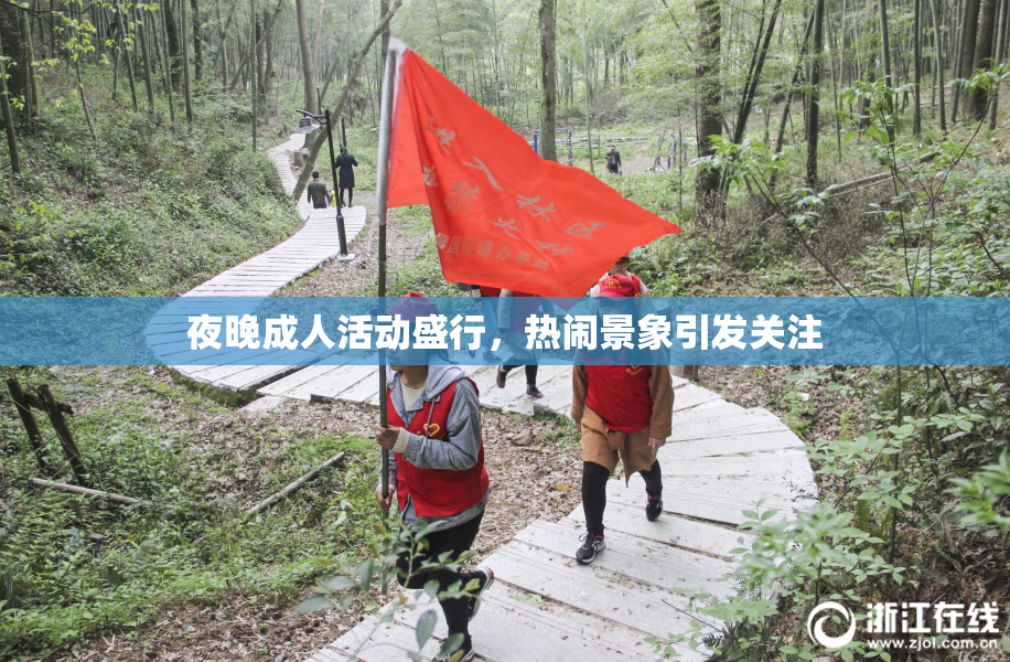 夜晚成人活动盛行，热闹景象引发关注