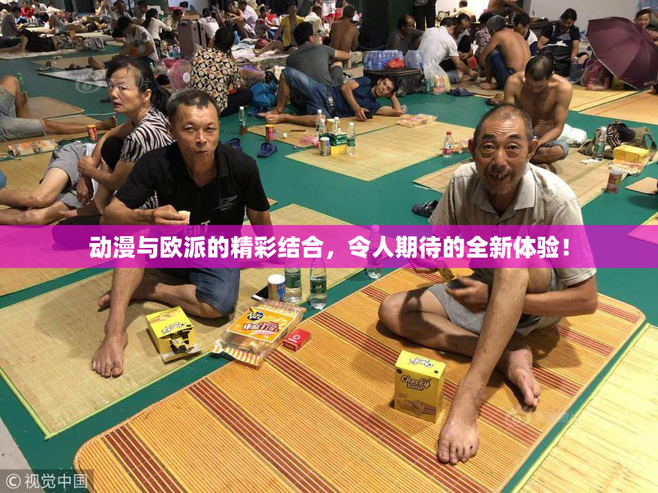 动漫与欧派的精彩结合，令人期待的全新体验！