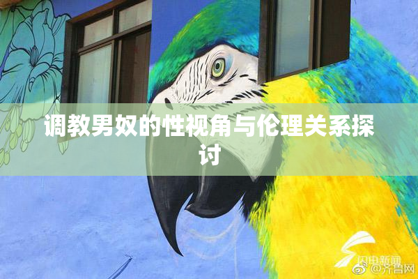 调教男奴的性视角与伦理关系探讨