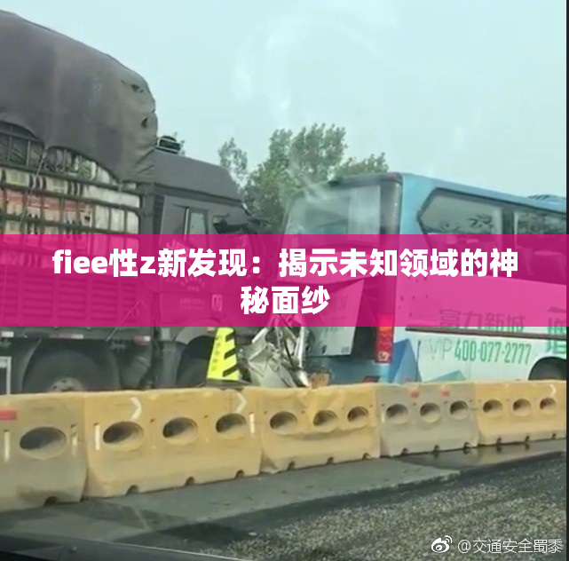 fiee性z新发现：揭示未知领域的神秘面纱