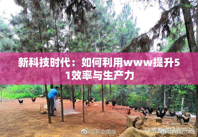 新科技时代：如何利用www提升51效率与生产力