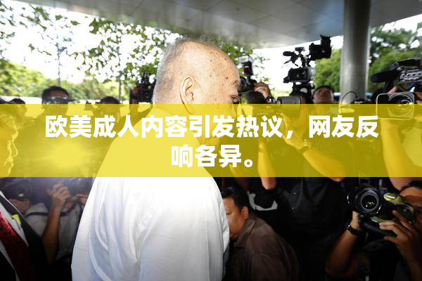 欧美成人内容引发热议，网友反响各异。