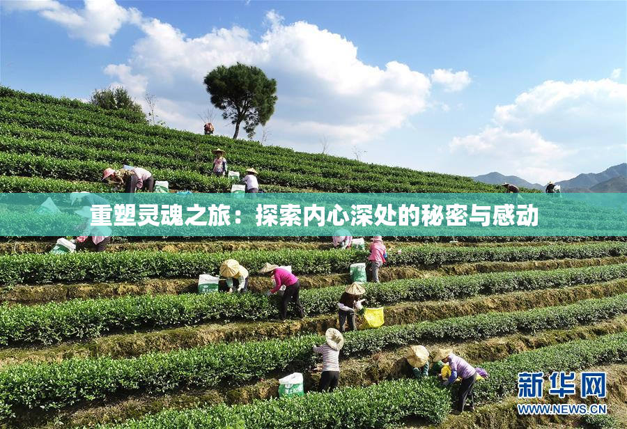 重塑灵魂之旅：探索内心深处的秘密与感动