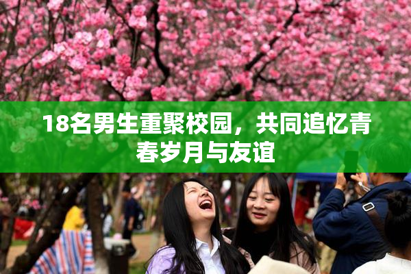 18名男生重聚校园，共同追忆青春岁月与友谊