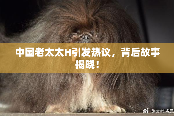 中国老太太H引发热议，背后故事揭晓！