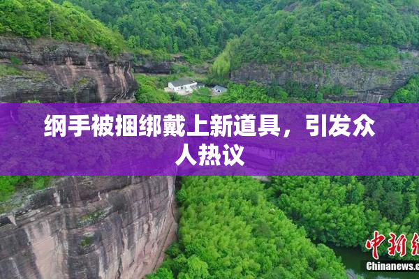 纲手被捆绑戴上新道具，引发众人热议