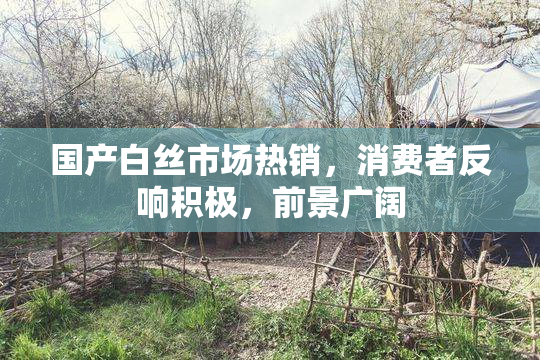国产白丝市场热销，消费者反响积极，前景广阔
