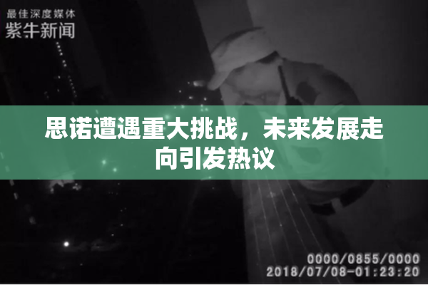 思诺遭遇重大挑战，未来发展走向引发热议