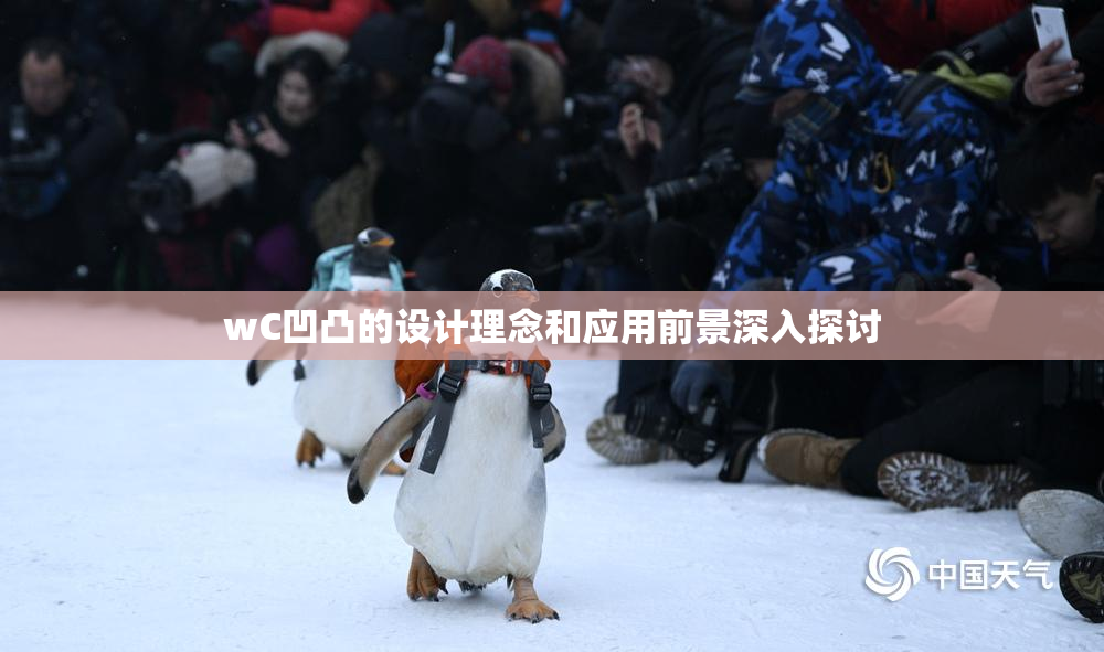 wC凹凸的设计理念和应用前景深入探讨