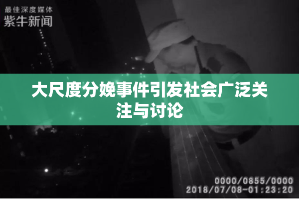 大尺度分娩事件引发社会广泛关注与讨论
