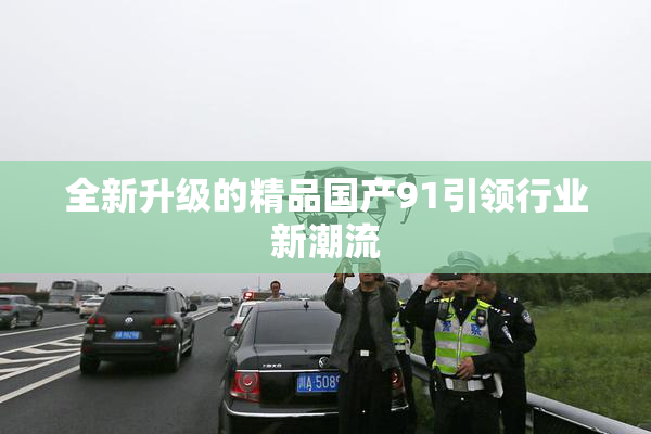 全新升级的精品国产91引领行业新潮流