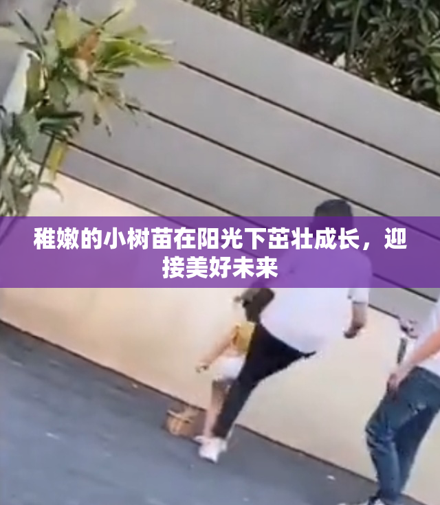 稚嫩的小树苗在阳光下茁壮成长，迎接美好未来