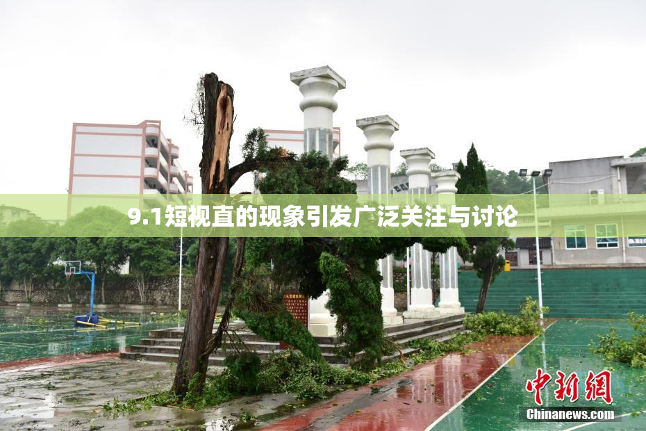 9.1短视直的现象引发广泛关注与讨论