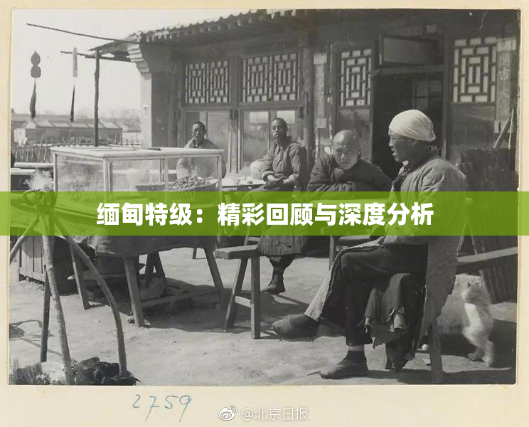 缅甸特级：精彩回顾与深度分析