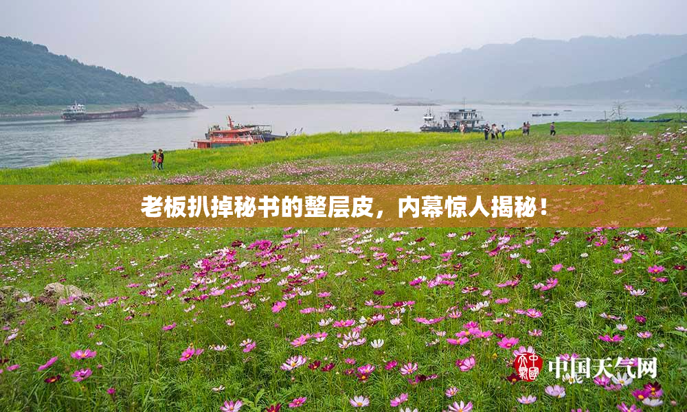 老板扒掉秘书的整层皮，内幕惊人揭秘！