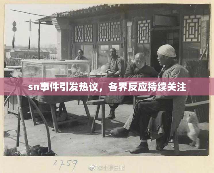 sn事件引发热议，各界反应持续关注