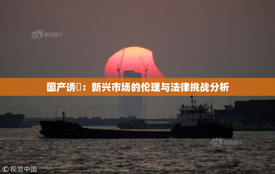 国产诱奷：新兴市场的伦理与法律挑战分析