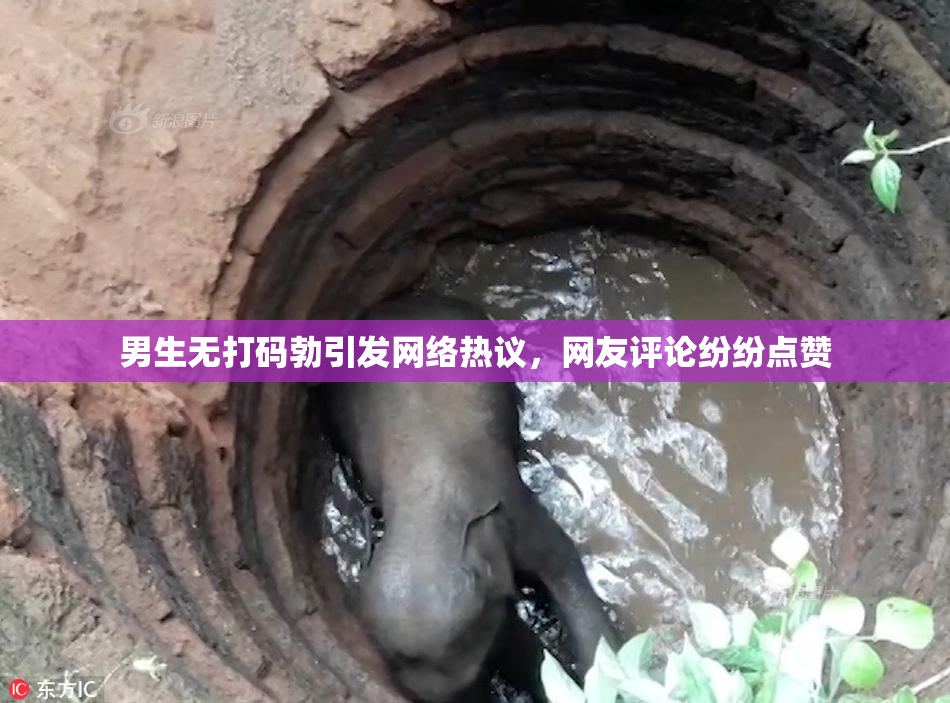 男生无打码勃引发网络热议，网友评论纷纷点赞