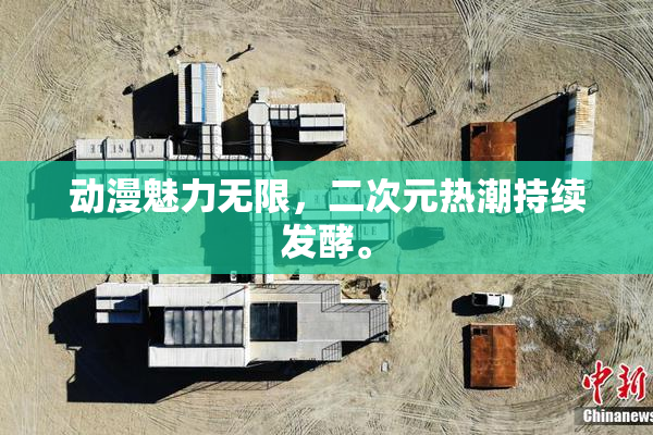 动漫魅力无限，二次元热潮持续发酵。