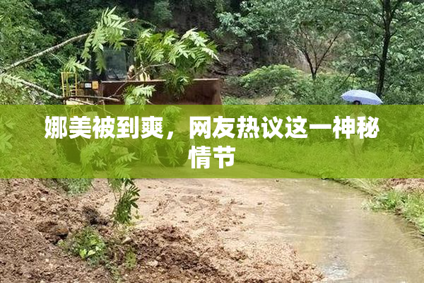 娜美被到爽，网友热议这一神秘情节