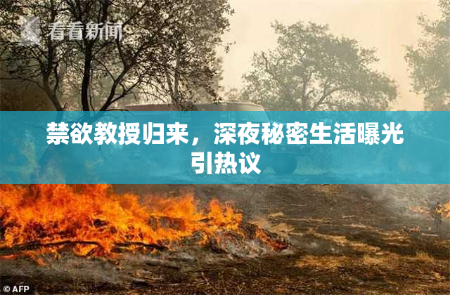 禁欲教授归来，深夜秘密生活曝光引热议