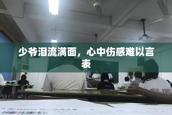 少爷泪流满面，心中伤感难以言表