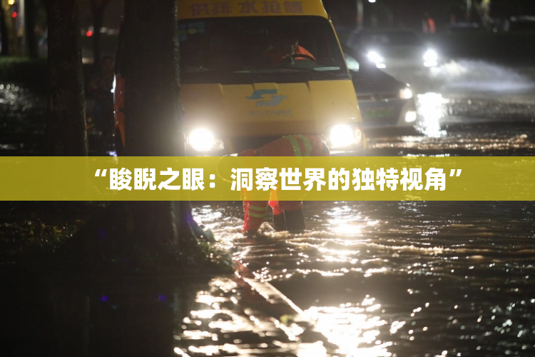 “睃睨之眼：洞察世界的独特视角”