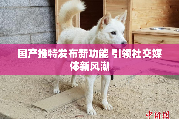 国产推特发布新功能 引领社交媒体新风潮