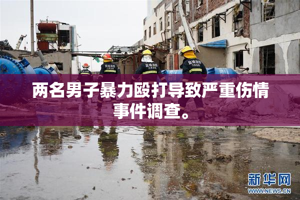 两名男子暴力殴打导致严重伤情事件调查。