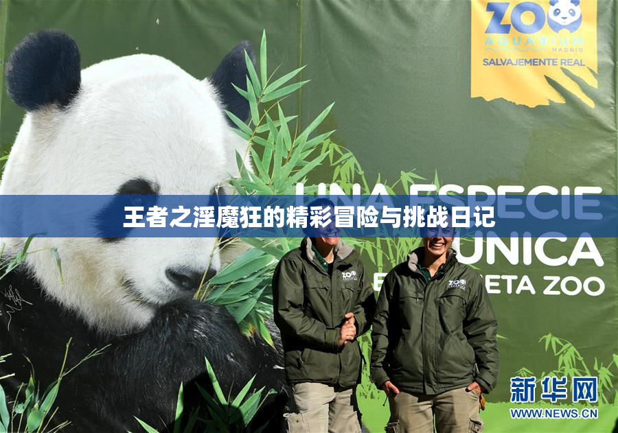 王者之淫魔狂的精彩冒险与挑战日记
