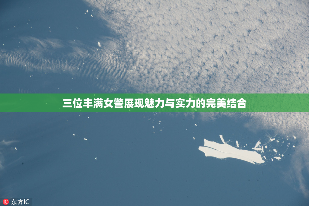 三位丰满女警展现魅力与实力的完美结合