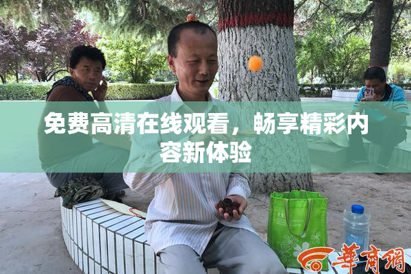 免费高清在线观看，畅享精彩内容新体验