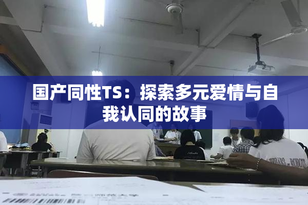 国产同性TS：探索多元爱情与自我认同的故事