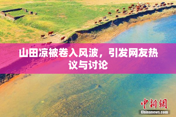 山田凉被卷入风波，引发网友热议与讨论