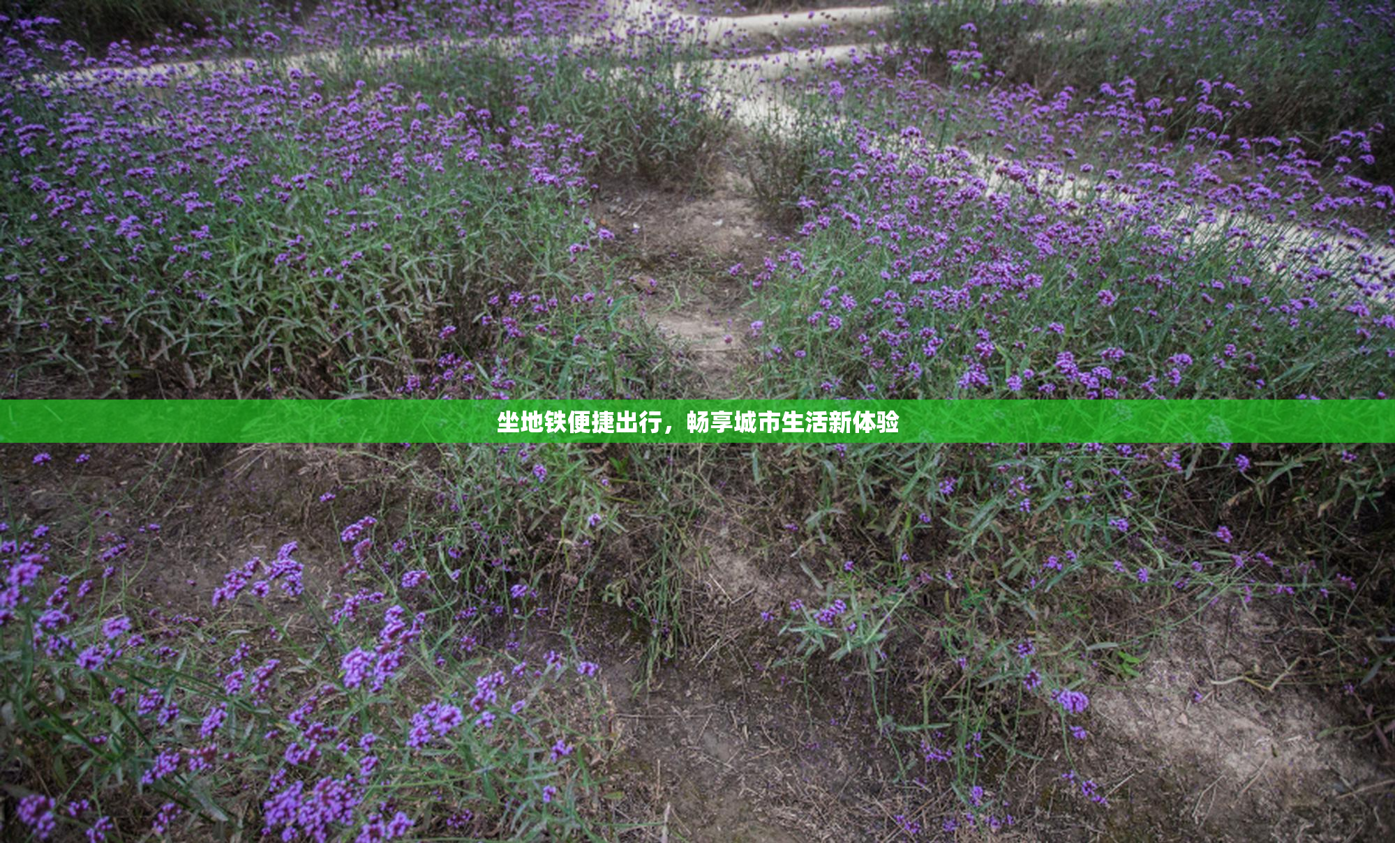 坐地铁便捷出行，畅享城市生活新体验