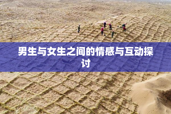 男生与女生之间的情感与互动探讨