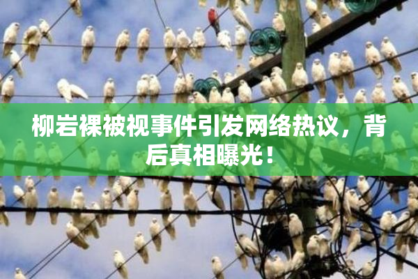 柳岩裸被视事件引发网络热议，背后真相曝光！