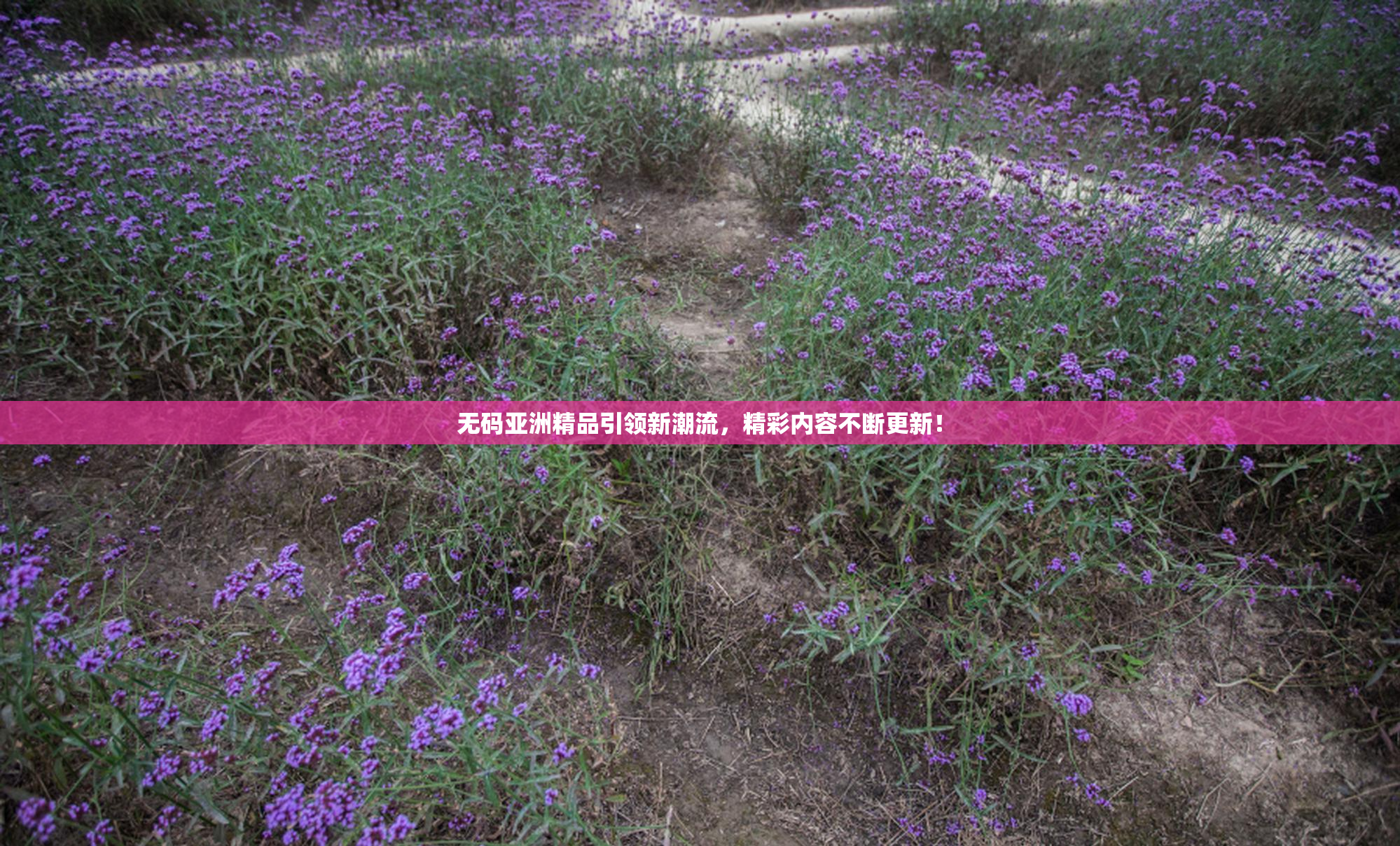 无码亚洲精品引领新潮流，精彩内容不断更新！