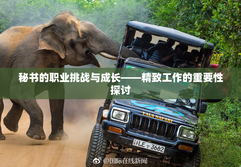 秘书的职业挑战与成长——精致工作的重要性探讨