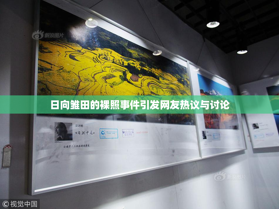 日向雏田的裸照事件引发网友热议与讨论