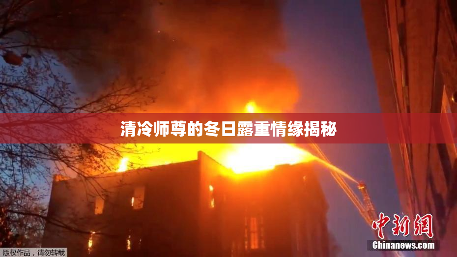 清冷师尊的冬日露重情缘揭秘