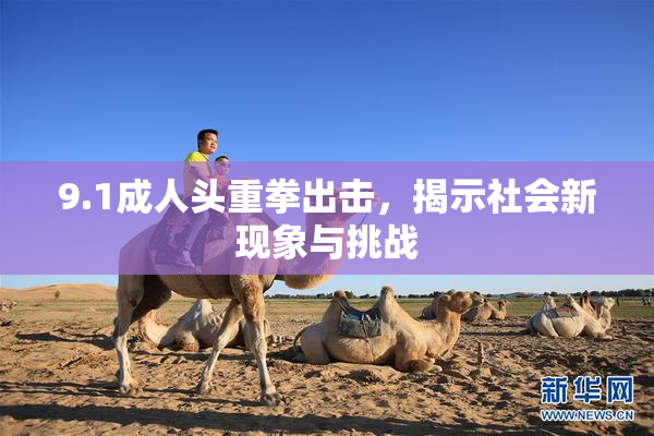 9.1成人头重拳出击，揭示社会新现象与挑战