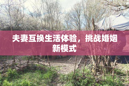 夫妻互换生活体验，挑战婚姻新模式