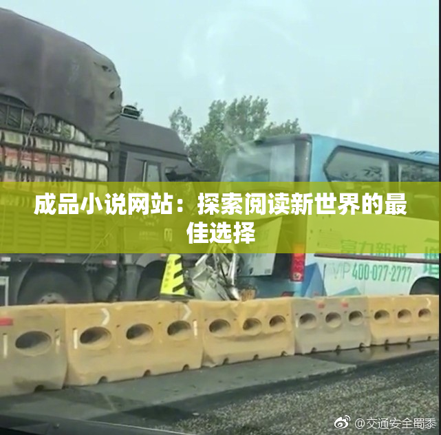 成品小说网站：探索阅读新世界的最佳选择