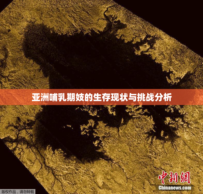 亚洲哺乳期妓的生存现状与挑战分析